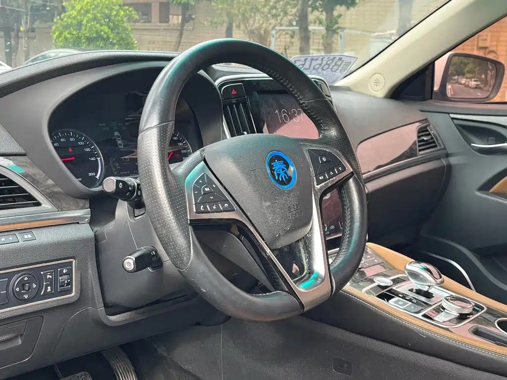 Qin NEV 1.5 T Distinguished