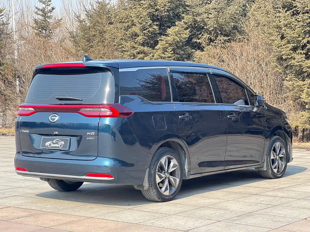 GAC Trumpchi M6 PRO 270 T DCT Luxury