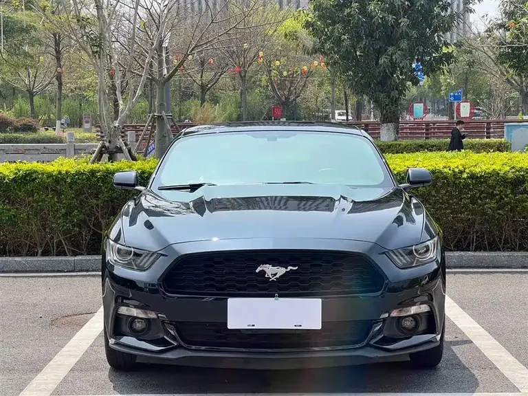 Ford Mustang 2.3 T 50 Anniversary