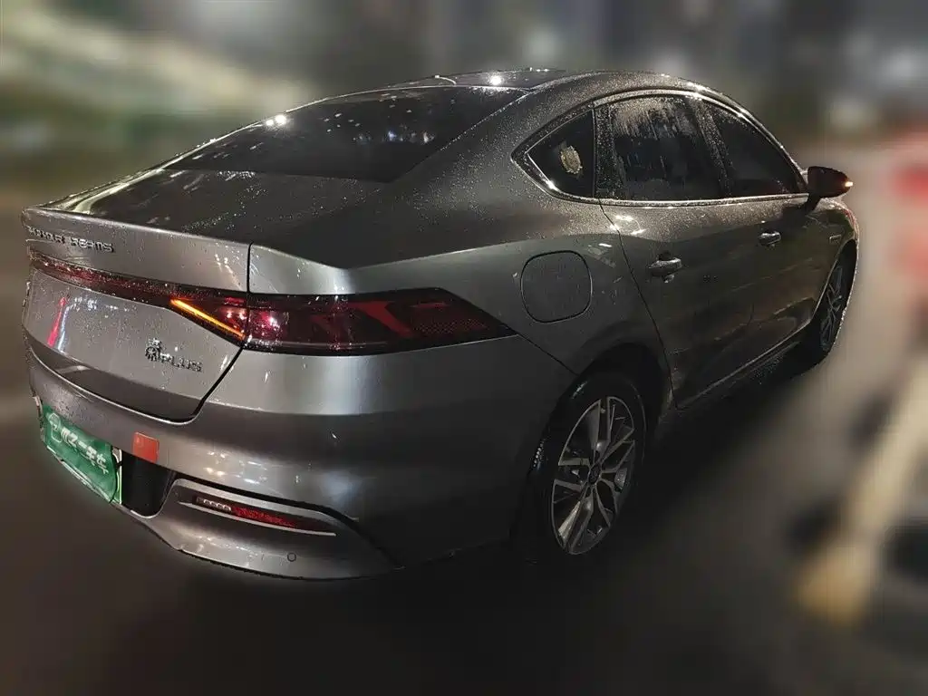 Qin PLUS DM-i 55 KM Flagship