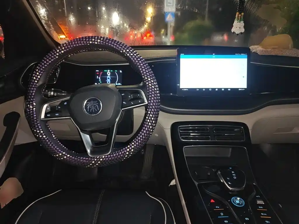 Qin PLUS DM-i 55 KM Flagship