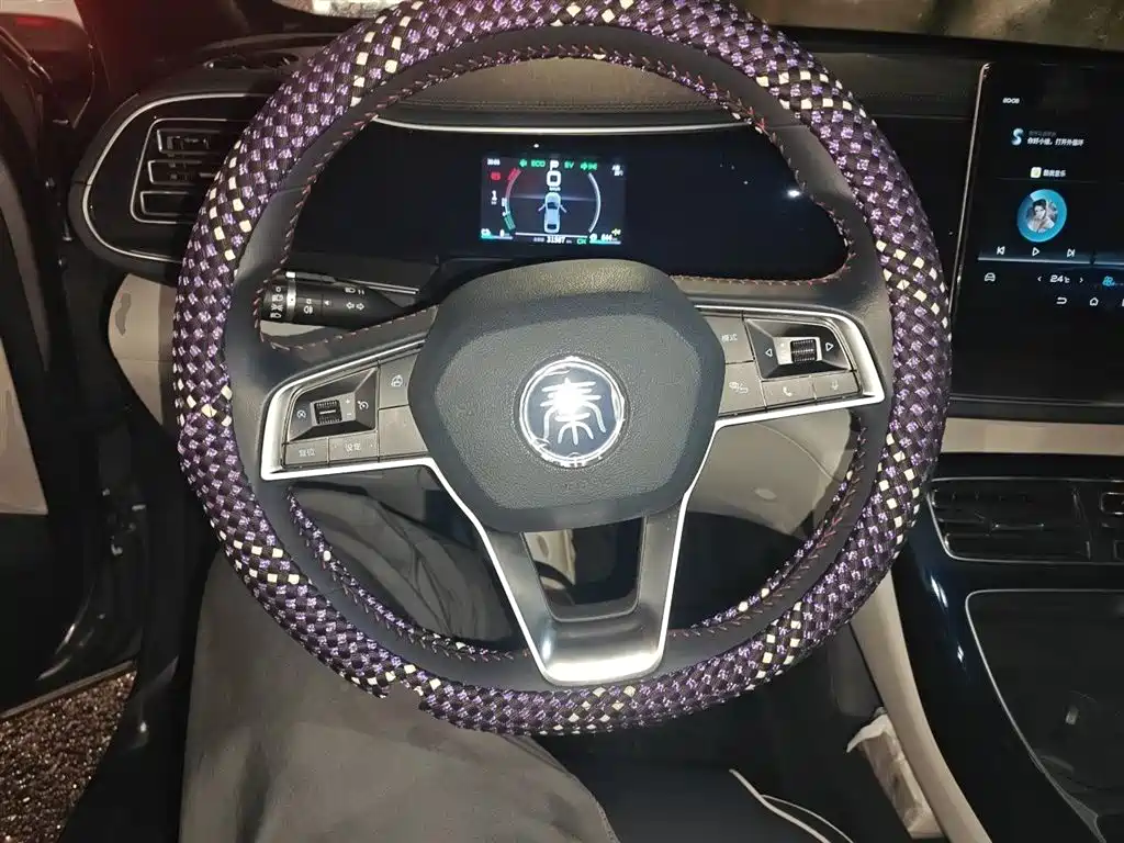 Qin PLUS DM-i 55 KM Flagship