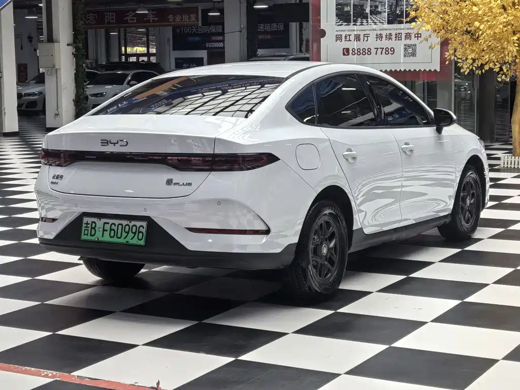 Qin PLUS DM-i Smart Drive 55 KM Leading