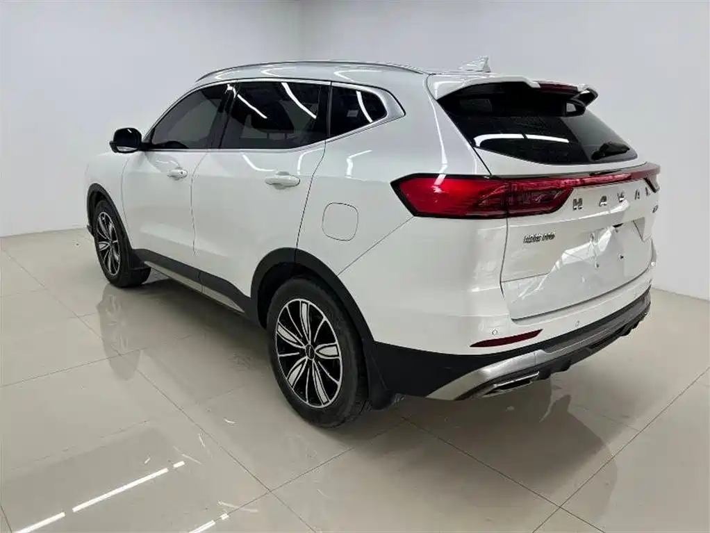 Haval H6 China Style 1.5 T Auto Champion