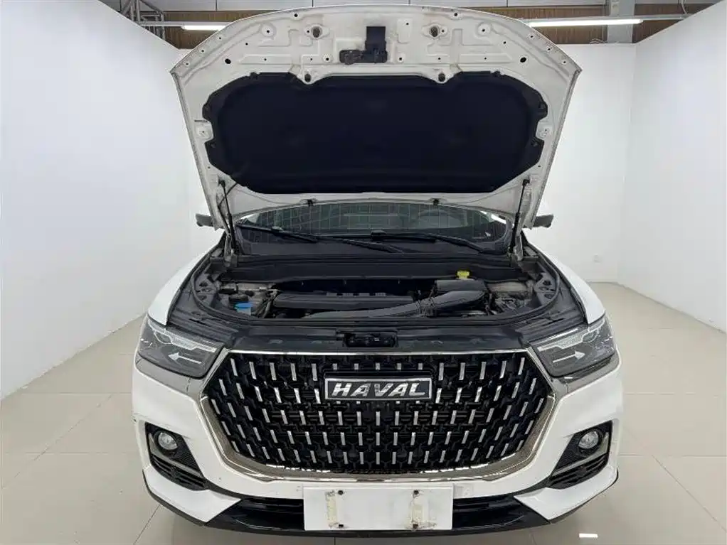 Haval H6 China Style 1.5 T Auto Champion