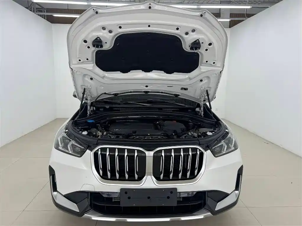 BMW X1 sDrive20 Li X Design Package