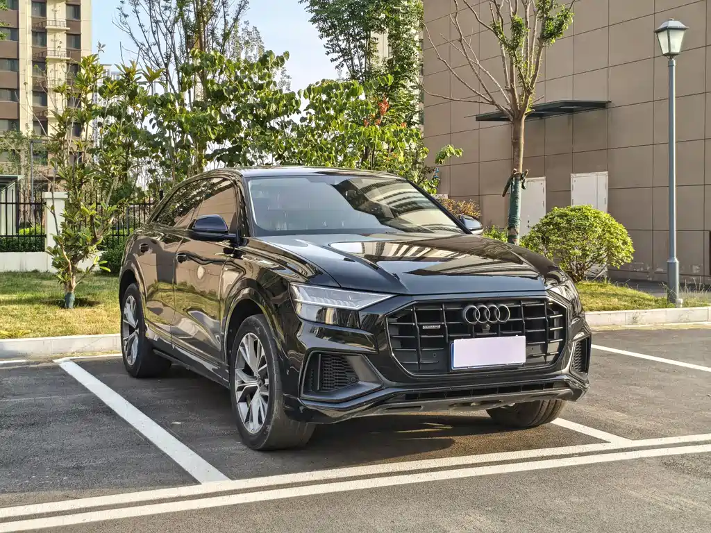 Audi Q8 55 TFSI Luxury Dynamic