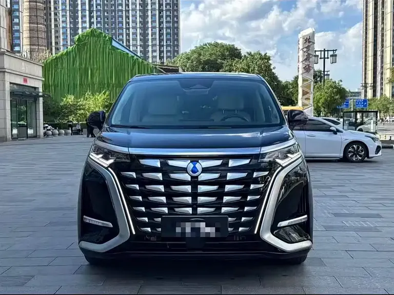 Denza D9 DM-i 980 4 WD Flagship