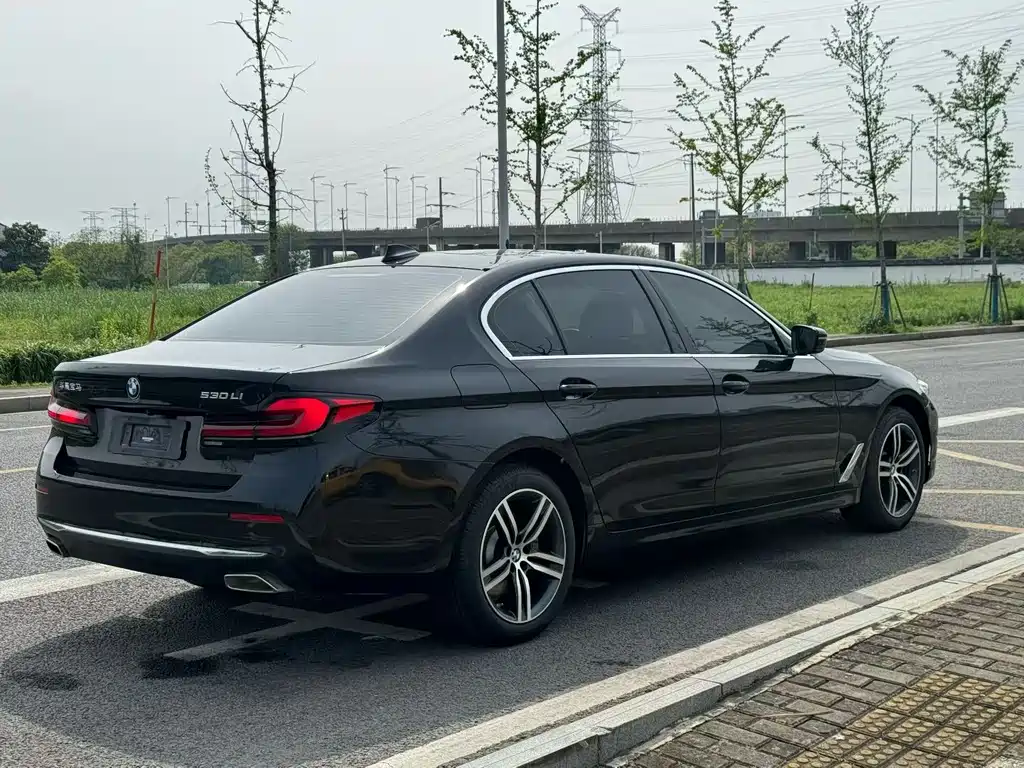 BMW 5 Series 530 Li Leading Luxury Package