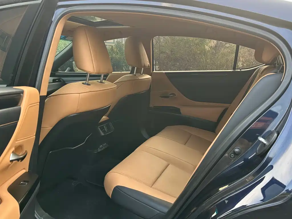 Lexus ES 300 h Outstanding