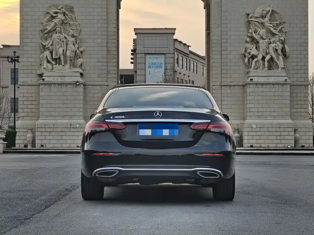 Mercedes-Benz E-Class E 300 L Luxury