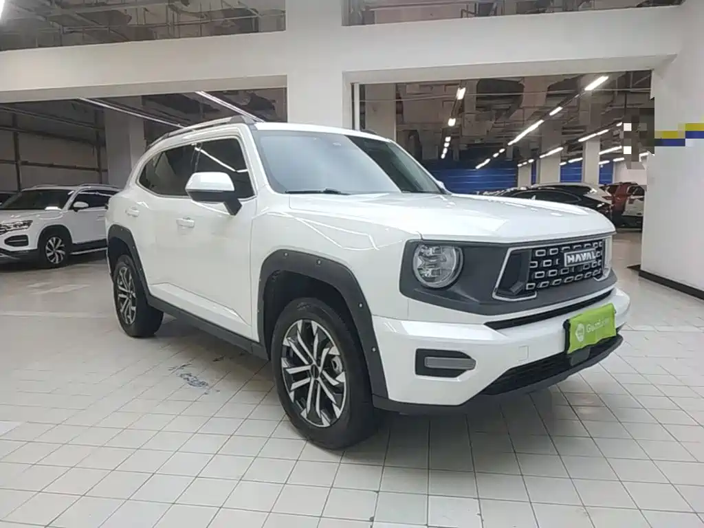 Haval Dargo PLUS 2.0 T 4 WD Trend Wild Plus