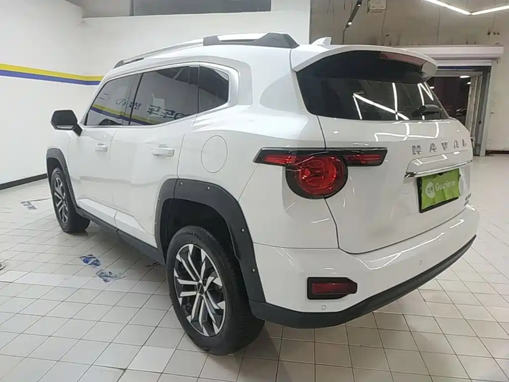 Haval Dargo PLUS 2.0 T 4 WD Trend Wild Plus