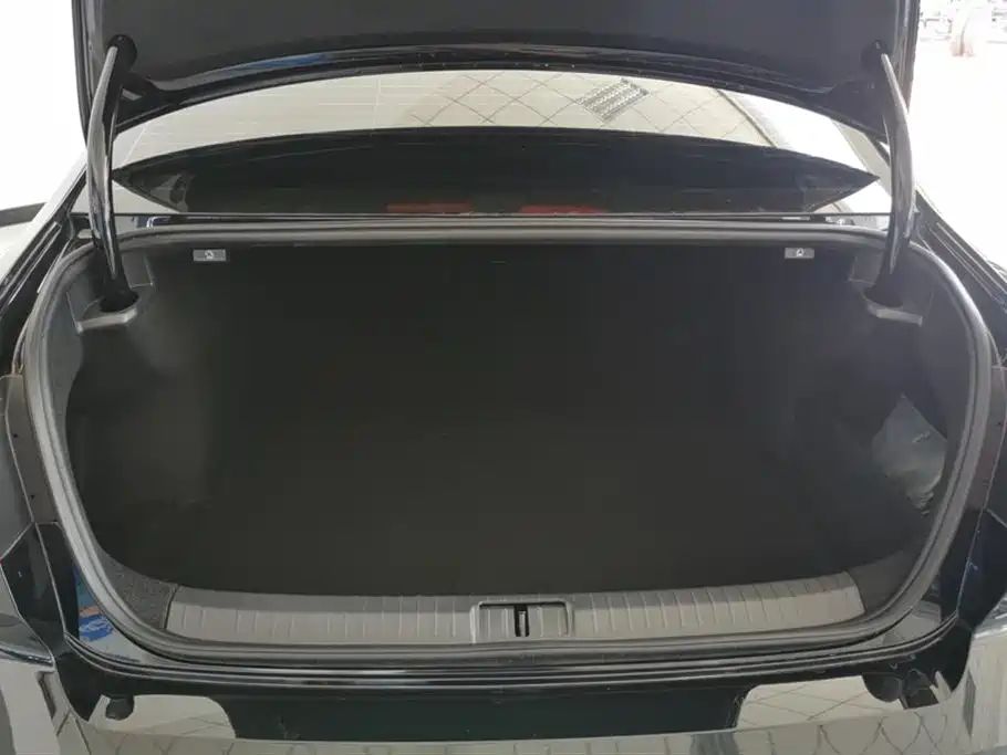 Magotan Public Enjoyment 330 TSI DSG Luxury