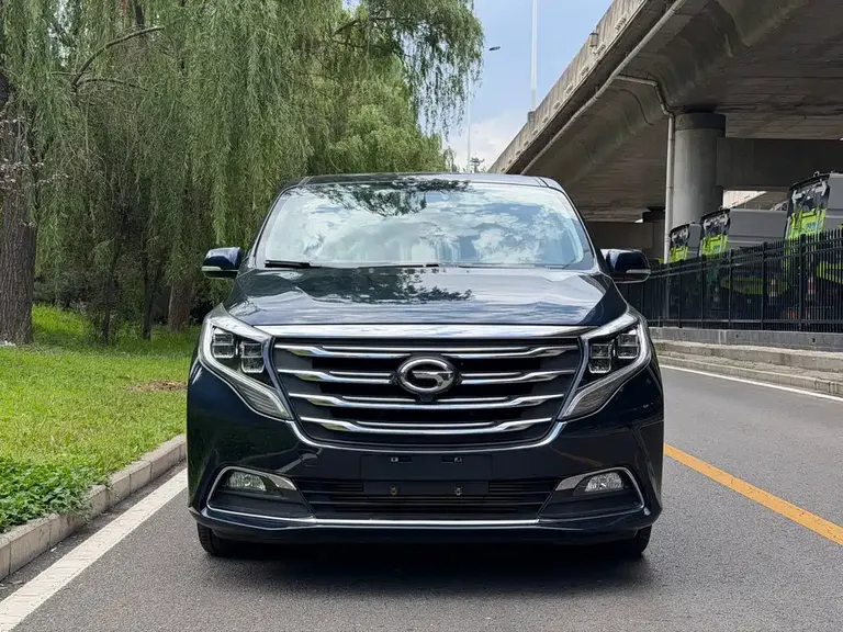 GAC Trumpchi M8 320 T Premium