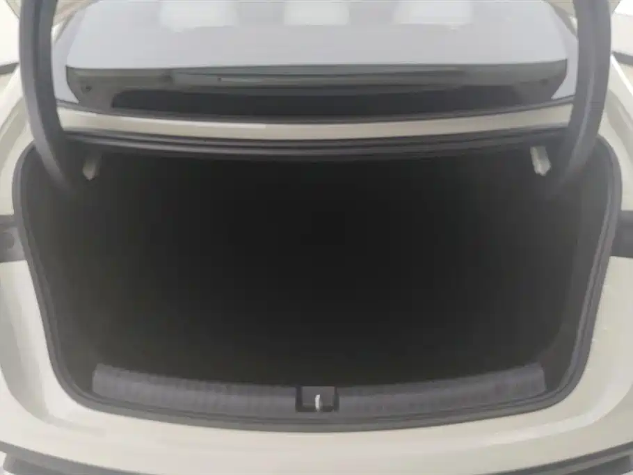 Seal 06 DM-i Smart Drive 80 KM Luxury