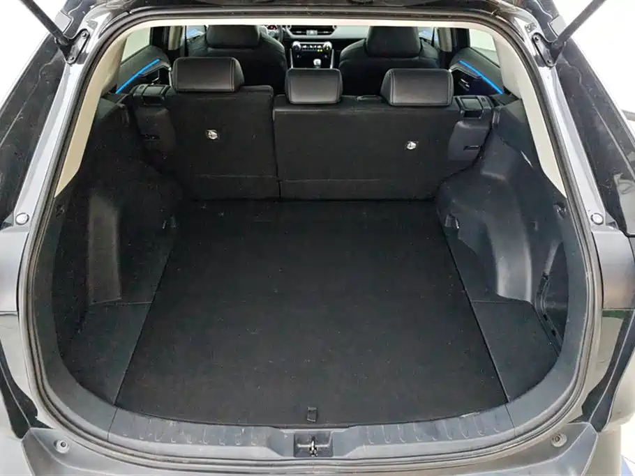Wildlander 2.0 L CVT 2 WD Luxury PLUS