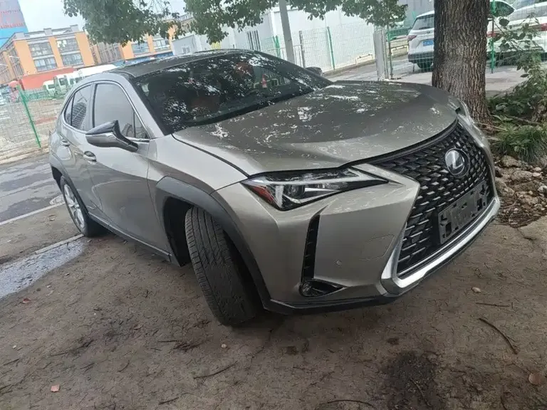 Lexus UX 260 h ·