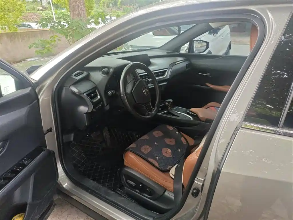 Lexus UX 260 h ·