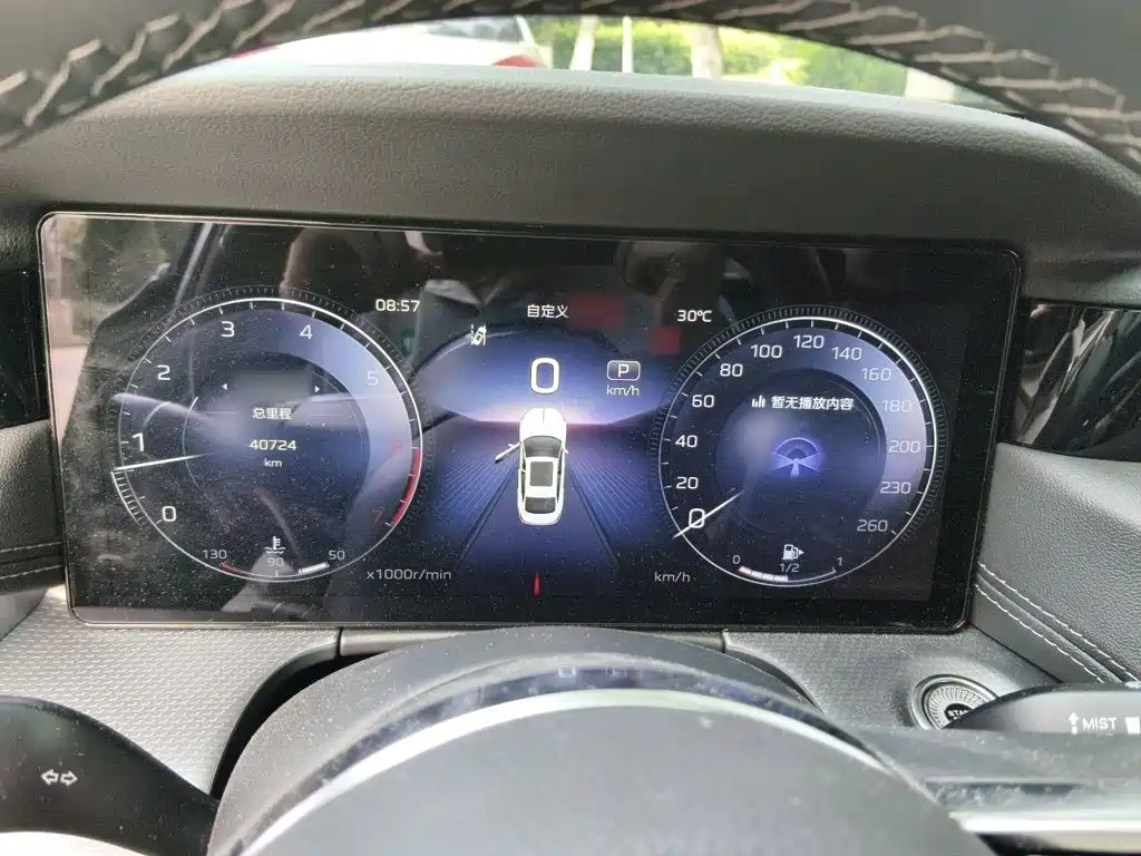 Hongqi H5 2.0 T Auto Connected Flagship