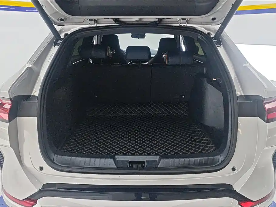 Song PLUS NEV Champion DM-i 110 KM Flagship