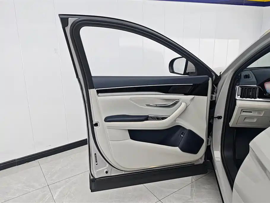 Song PLUS NEV Champion DM-i 110 KM Flagship