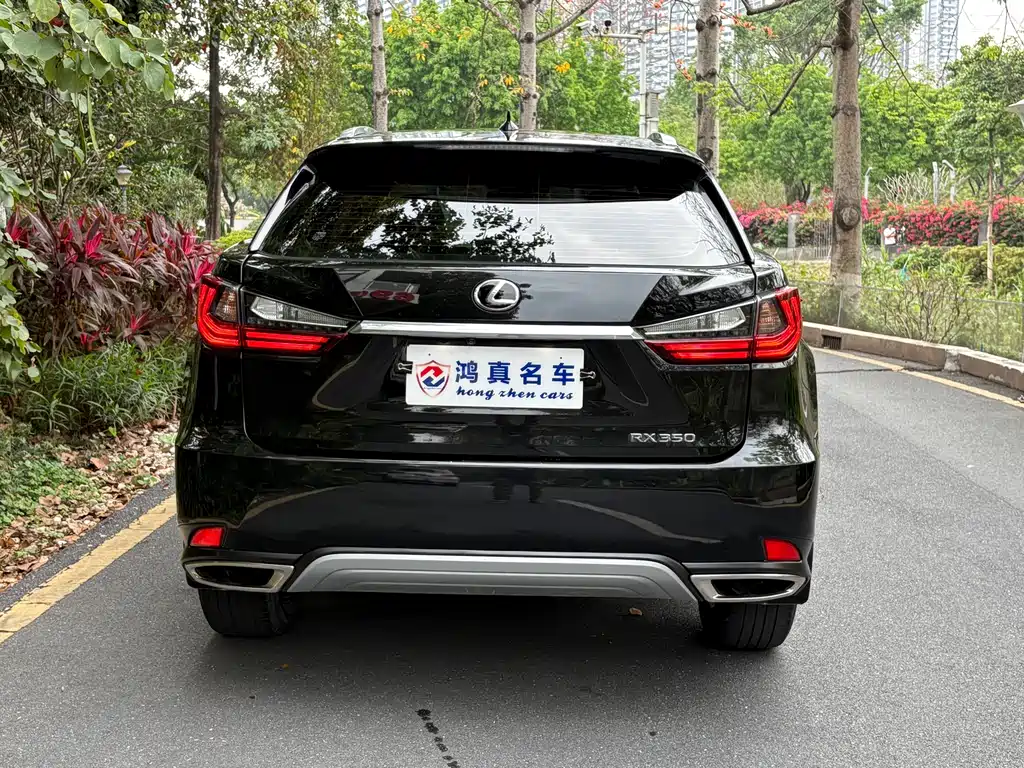 Lexus RX 雷克萨斯RX 2020款 350 加规版