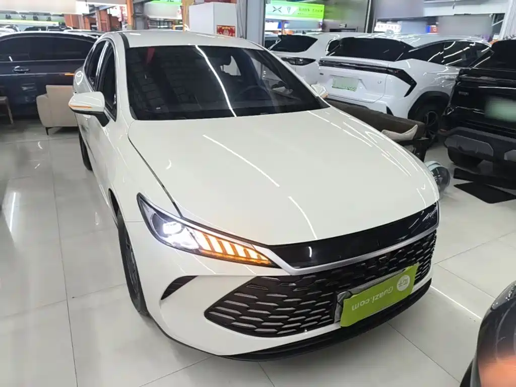 Qin PLUS DM-i Smart Drive 128 KM Progressive