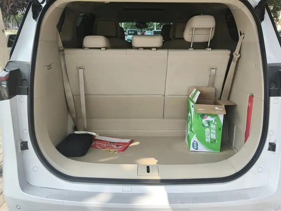 Buick GL8 NEV 别克GL8新能源 2025款 陆尚 尊享版