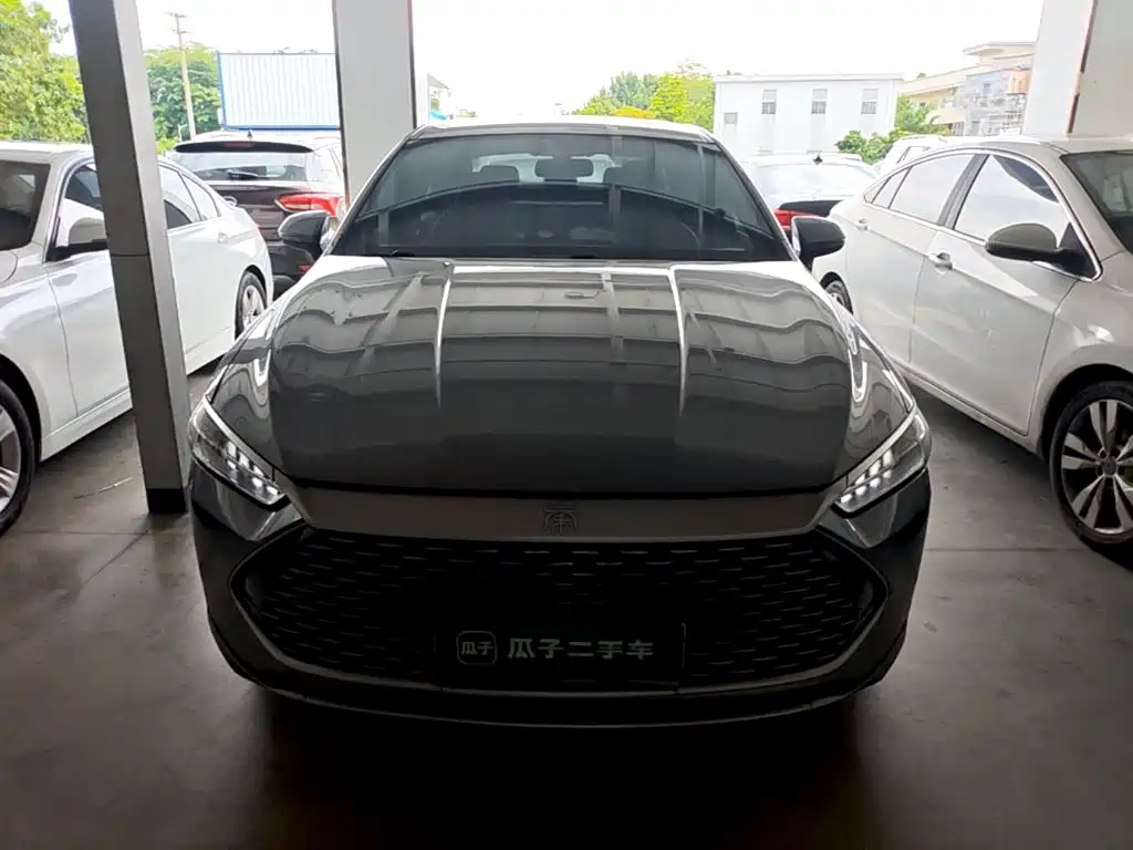 Qin PLUS DM-i 55 KM Flagship