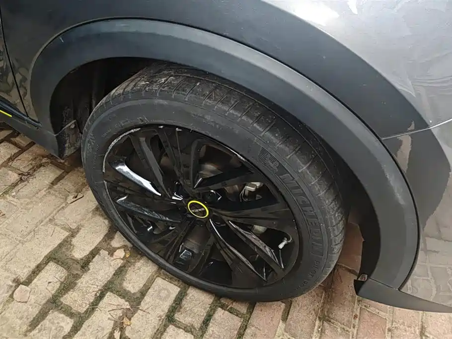Roewe RX5 NEV ePLUS China Style Honor Qilin Flagship