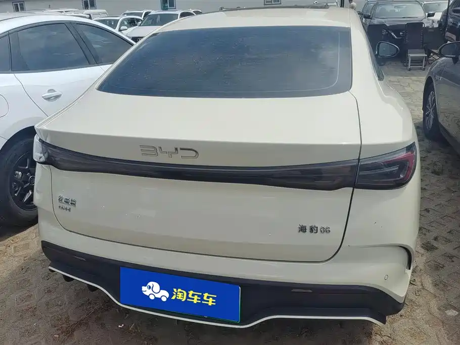 Seal 06 DM-i 120 KM Premium
