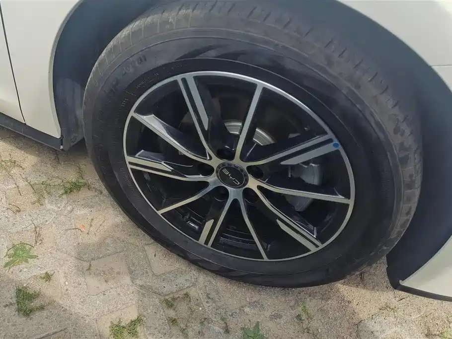 Seal 06 DM-i 120 KM Premium