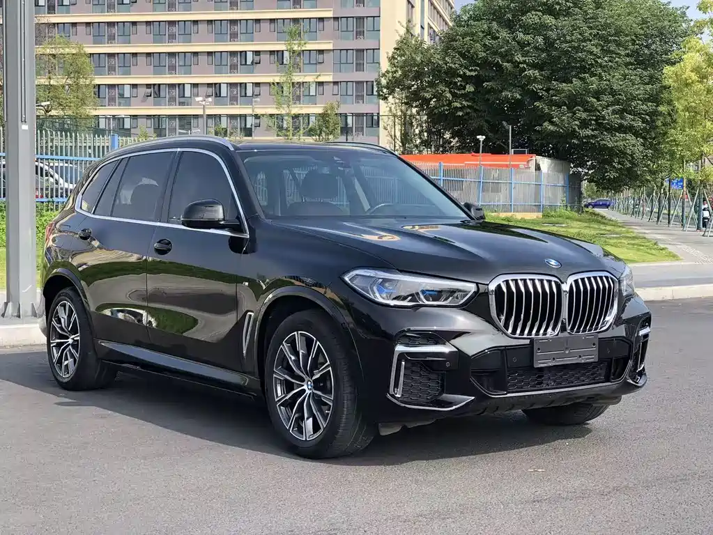 BMW X5 Facelift xDrive 30 Li Premium M Sport Package