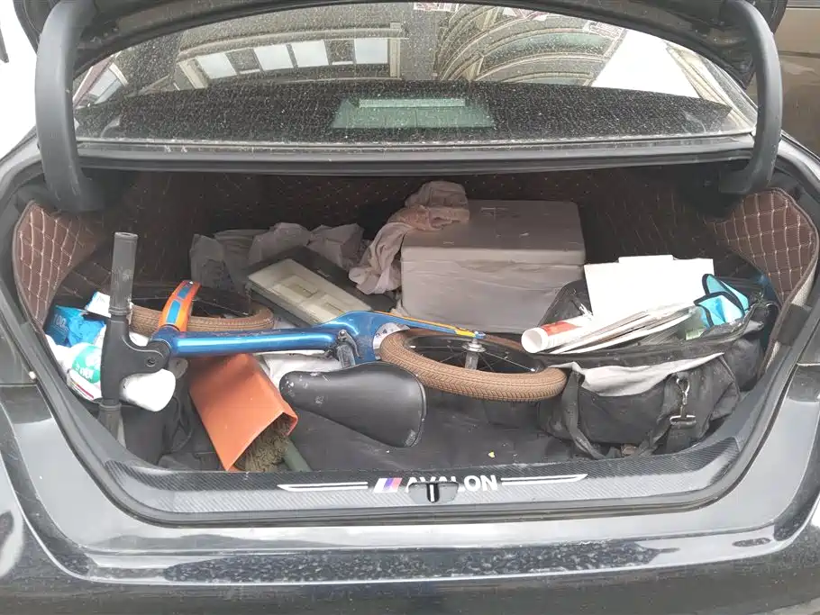 Avalon 2.0 L Progressive CN-VI