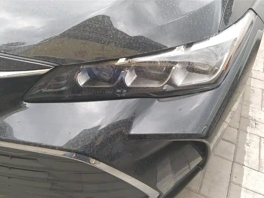Avalon 2.0 L Progressive CN-VI