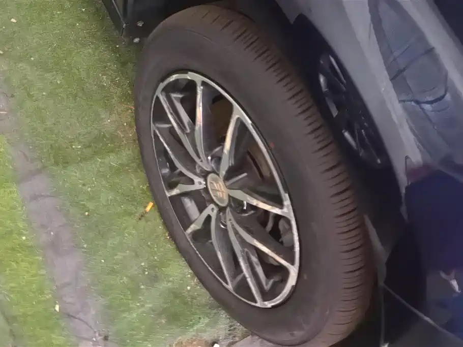 Song MAX 1.5 T Auto Connected Flagship 7-seat