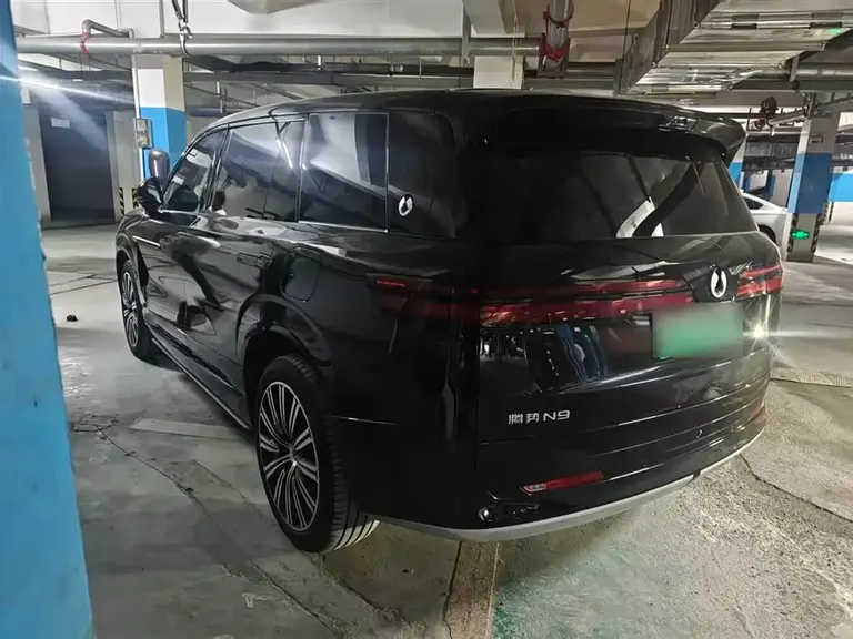 Denza N9 Flagship