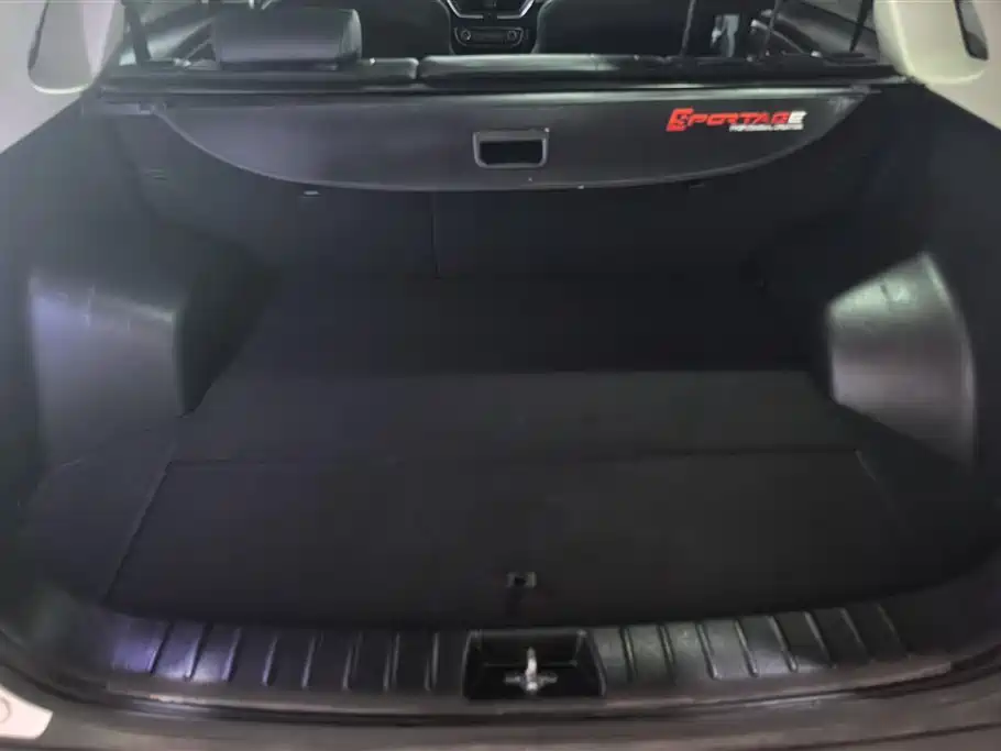 Sportage 2.0 L Auto Smart Enjoyment Luxury