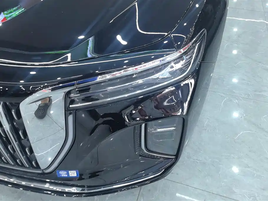 Hongqi H9 2.0 T 2 WD Flagship Enjoyment Luxury Business 5-seat