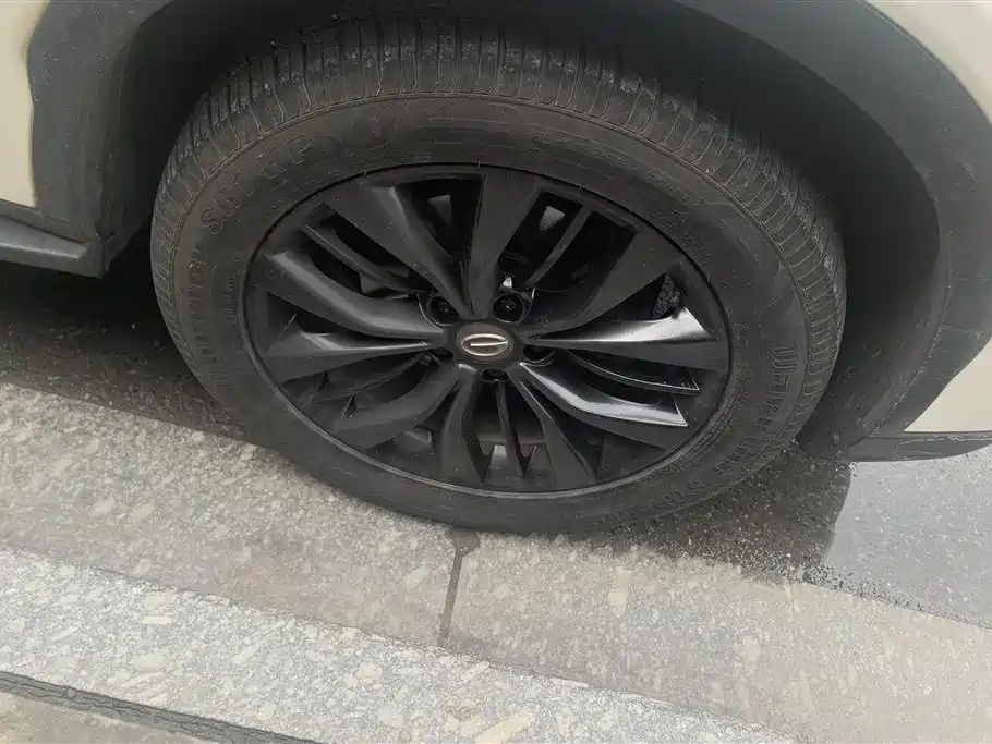 GAC Trumpchi GS8 320 T 2 WD Luxury Connected (7-seat)