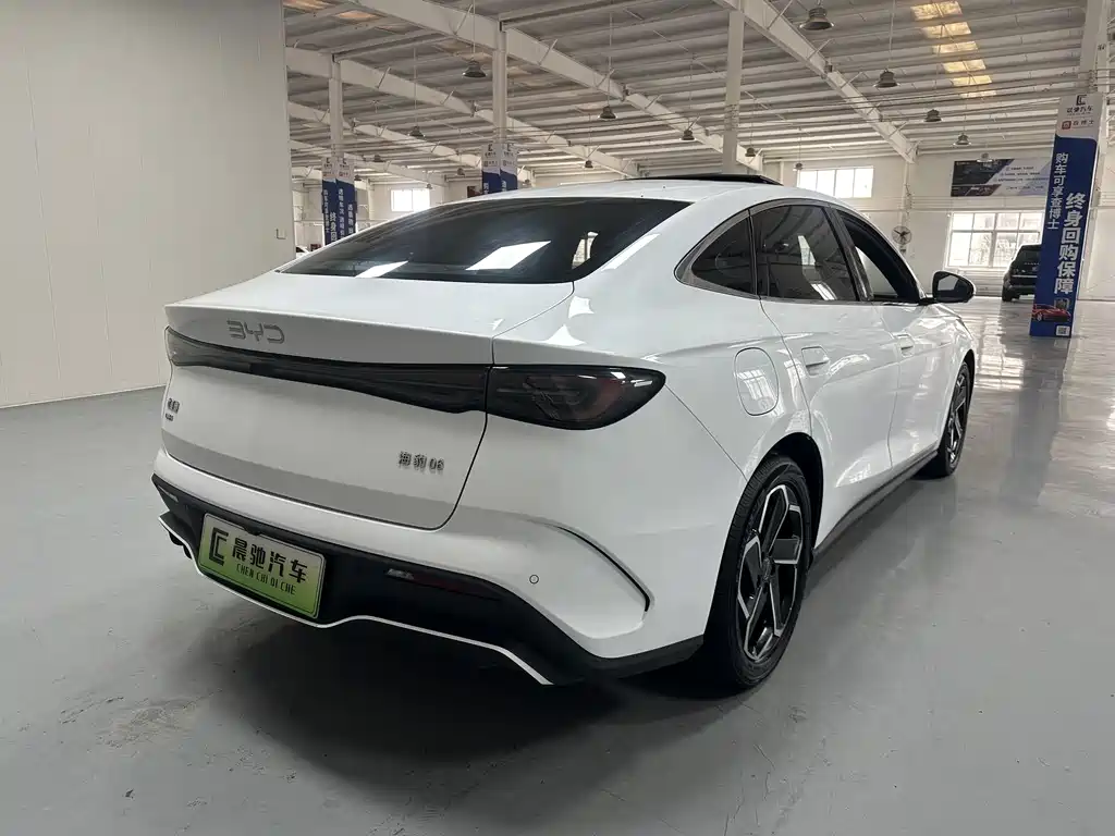 Seal 06 DM-i 120 KM Flagship