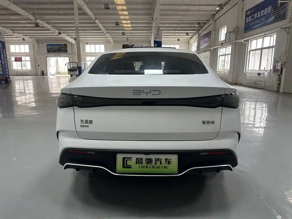 Seal 06 DM-i 120 KM Flagship