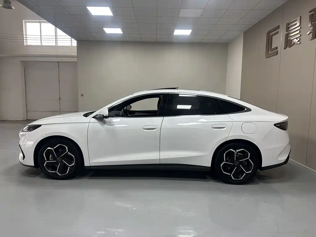 Seal 06 DM-i 120 KM Flagship
