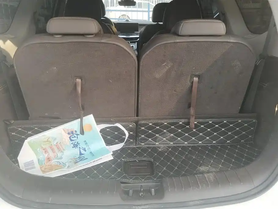 Jiaji Smart Engine 1.5 TD DCT Distinguished