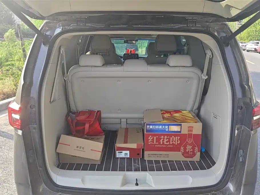 Buick GL8 Land Official Cabin 652 T Comfort