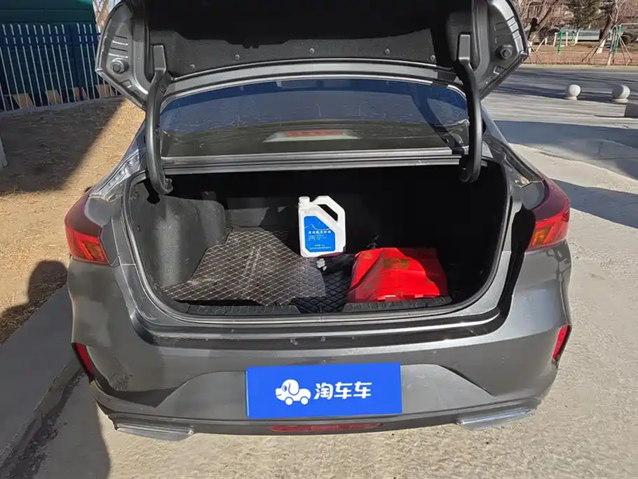 Eado PLUS Blue Whale NE 1.4 T GDI DCT Distinguished