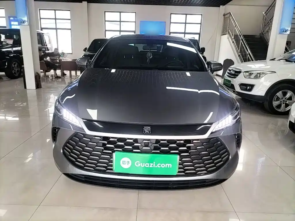 Qin PLUS DM-i Smart Drive 55 KM Leading