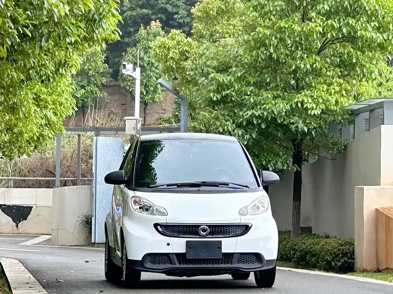 smart fortwo 1.0 MHD New Year Special Edition