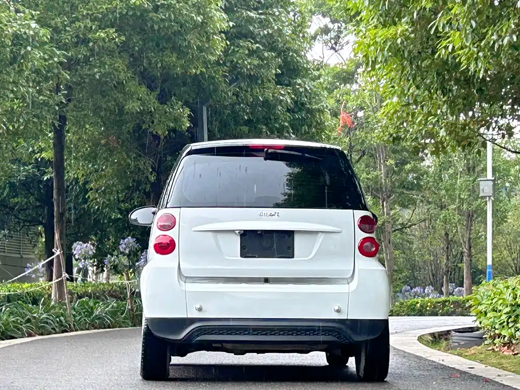 smart fortwo 1.0 MHD New Year Special Edition
